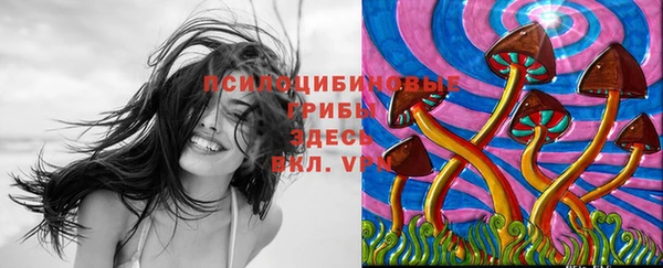 гашишное масло Богородицк