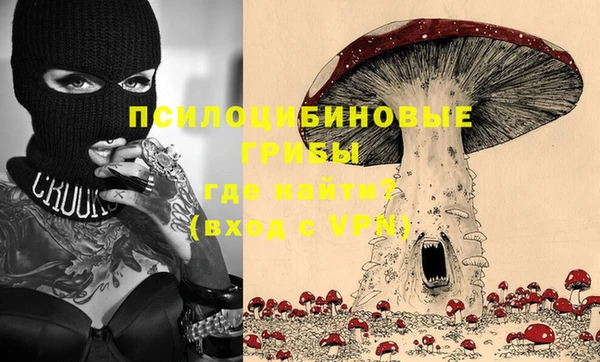прущий лед Богородск