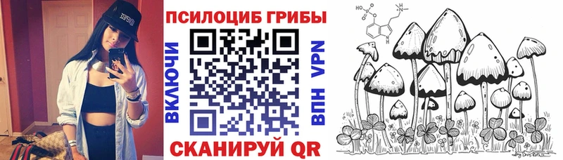 Галлюциногенные грибы Magic Shrooms Дедовск